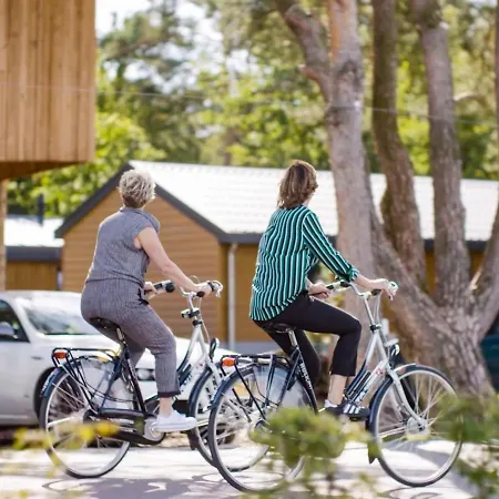 Holiday home Holiday Europarcs De Wije Werelt-4 *