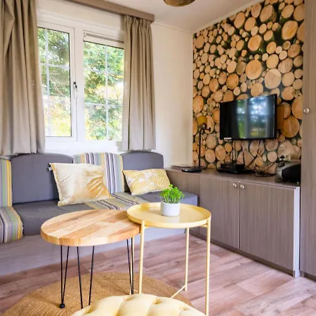 Holiday home Holiday Europarcs De Wije Werelt-4